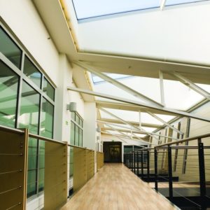 W48-woodplus-03-03 W48-woodplus-03-03