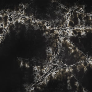 ICE BLACK POLISHED- Quartz Compac in Qatar