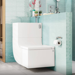 W+W Wall Hung Vitreous China WC & Basin